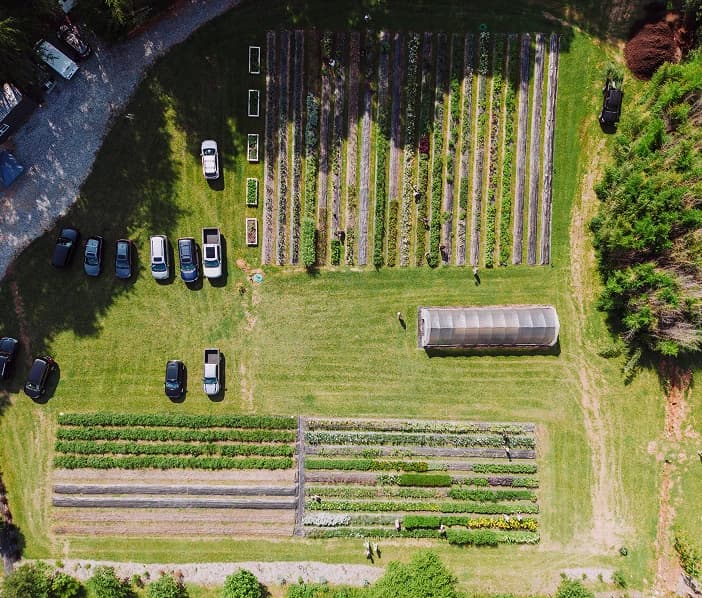 Aerial view of cultivated fields